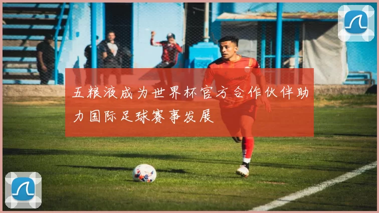 五粮液成为世界杯官方合作伙伴助力国际足球赛事发展